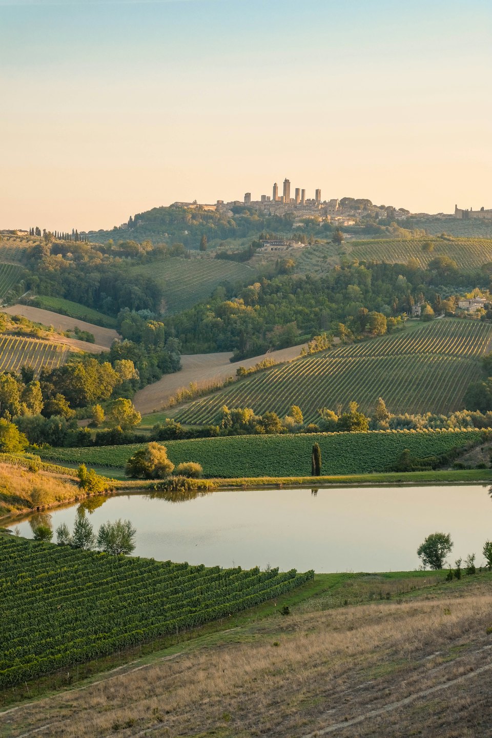 Vigneti e campi circostanti circondano un lago riflettente sotto un paese in collina.