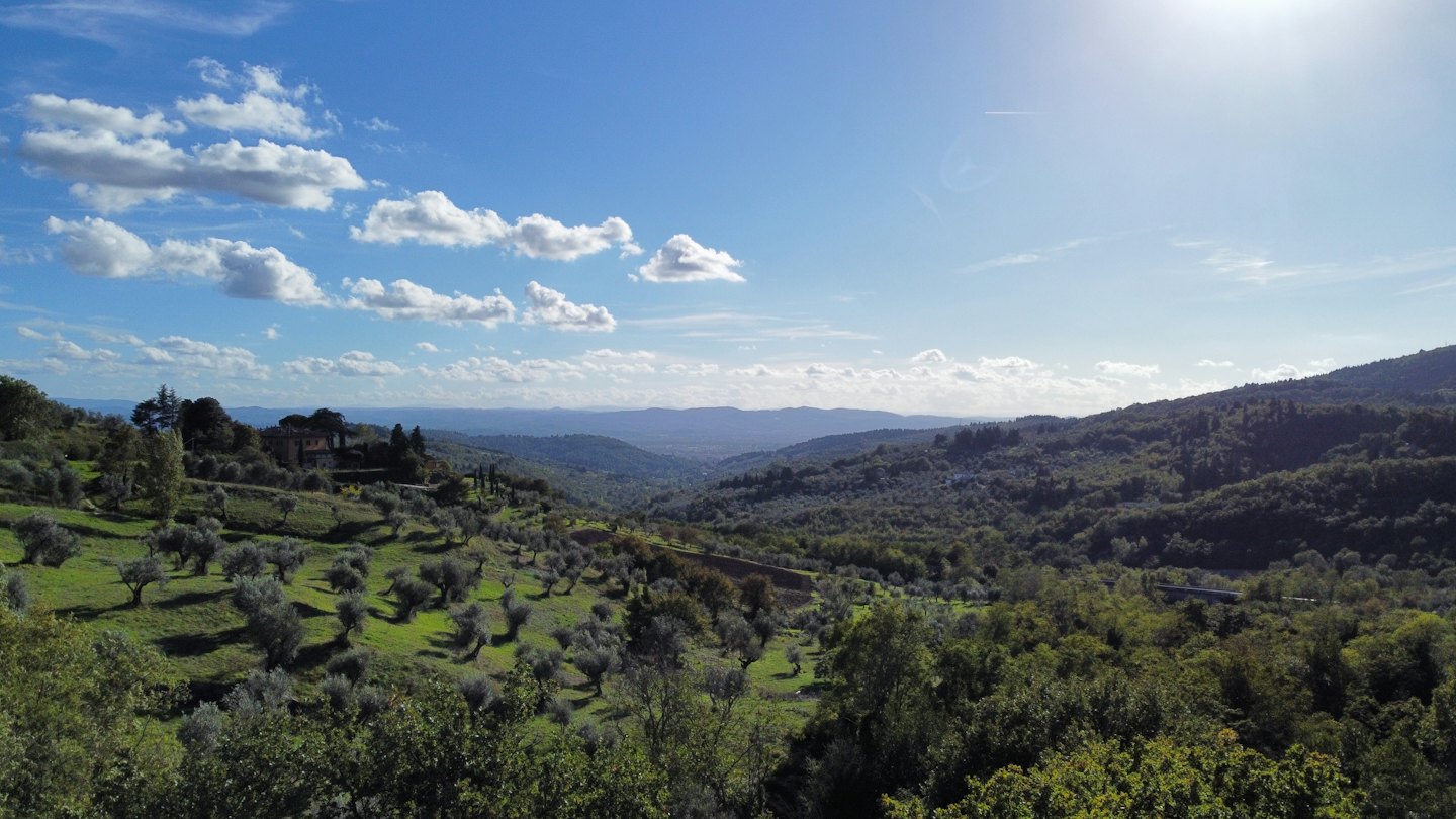 Ulivi ricoprono dolci colline vicino a un edificio in pietra.